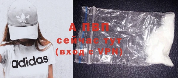 ПСИЛОЦИБИНОВЫЕ ГРИБЫ Семёнов