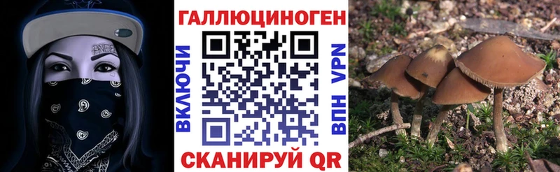 Купить  Чита  Псилоцибиновые грибы мицелий 